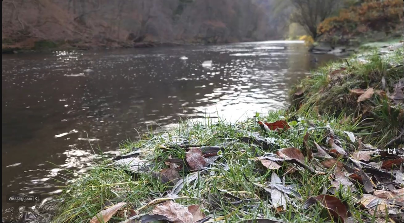 Feierabend Reset am Kleiner Bachlauf im Winter mit Steinen, Laub und feuchtem Ufer